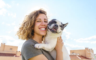 Pet care made easy: How Lifestyle Spending Accounts help you and your furry friends enjoy Summer